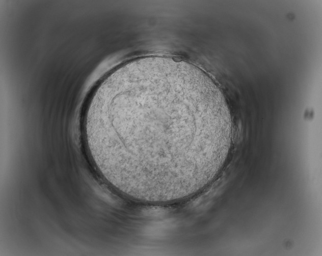 X0000101390198200808041025