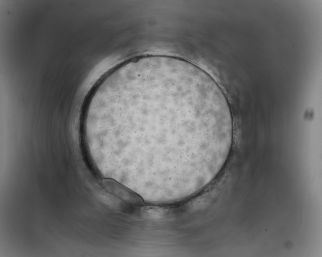 X0000101390199200808041025