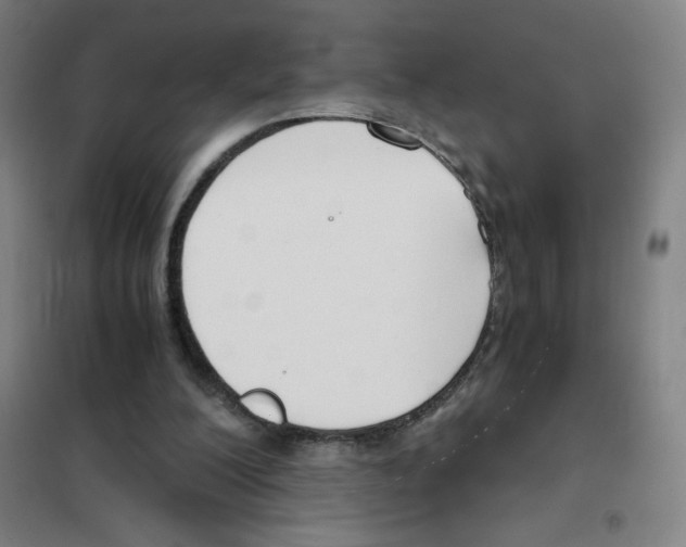 X0000101390200200808041025