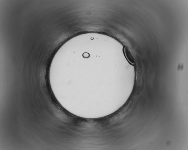 X0000101390201200808041025