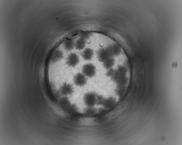 X0000101390202200808041025