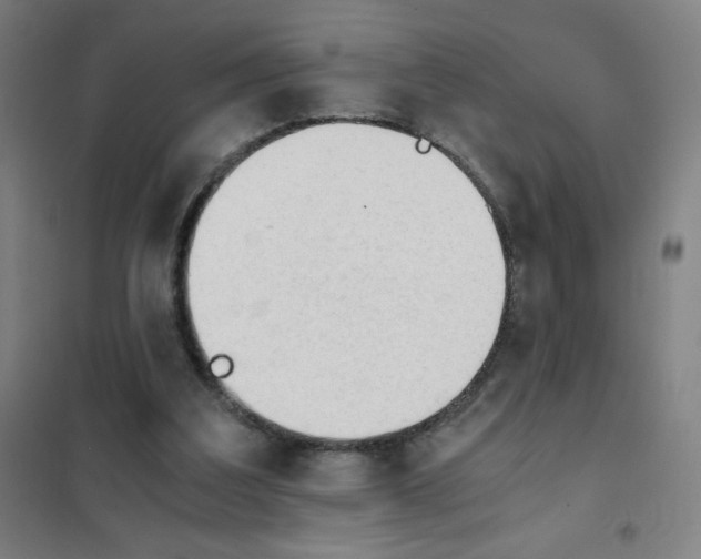 X0000101390203200808041025
