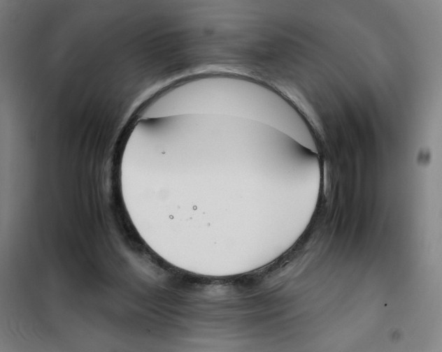 X0000101390204200808041025