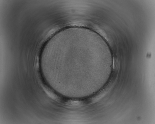 X0000101390205200808041025