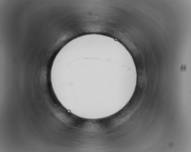 X0000101390207200808041025