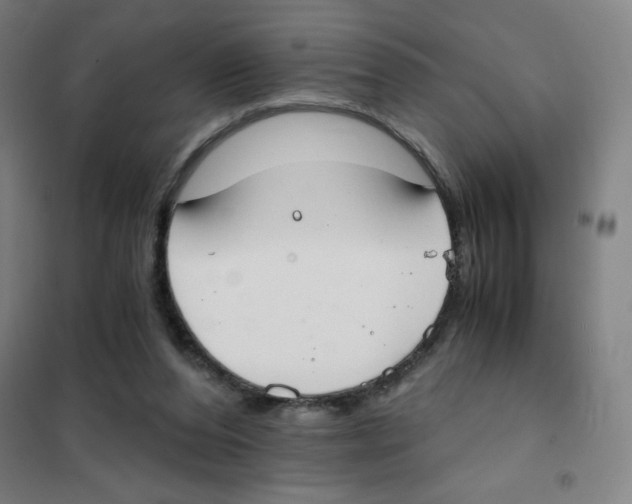 X0000101390208200808041025
