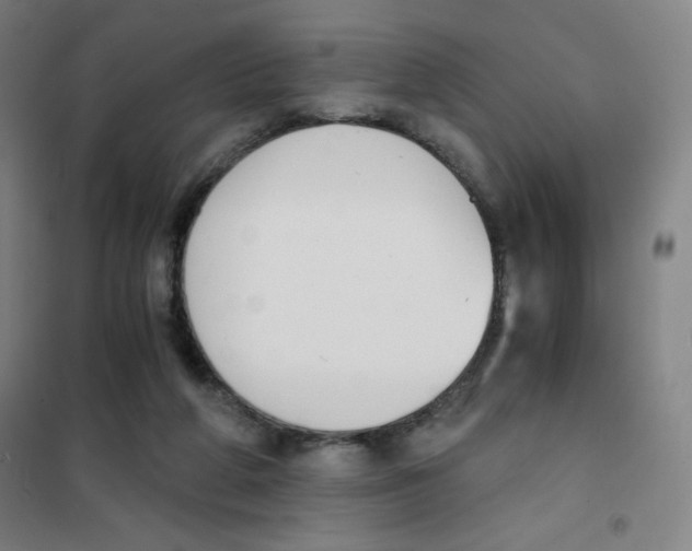 X0000101390210200808041025