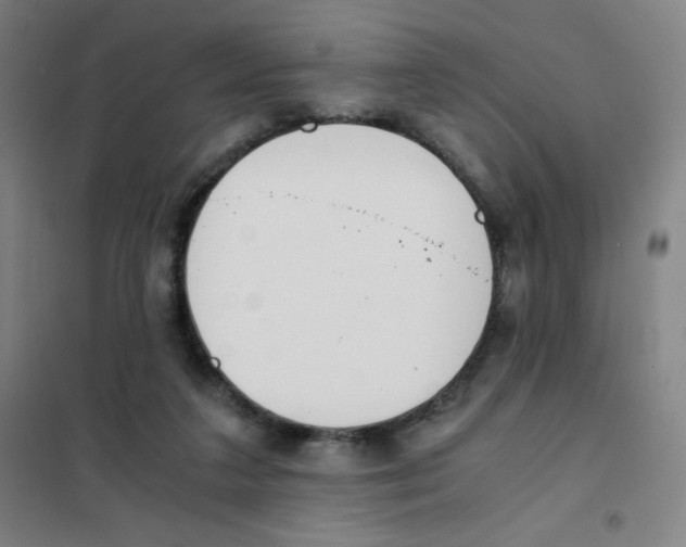X0000101390211200808041025