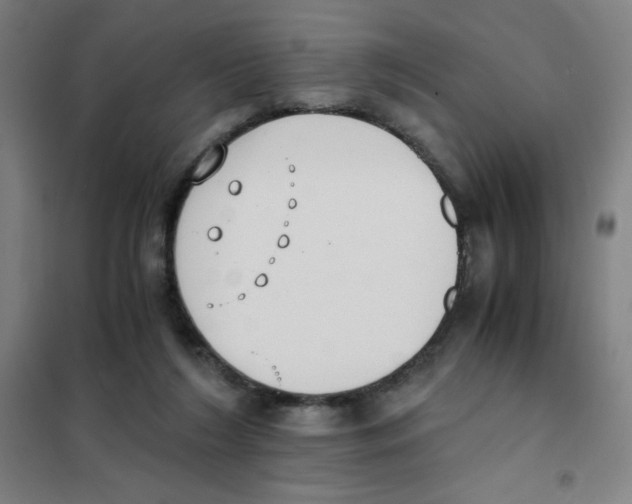 X0000101390212200808041025
