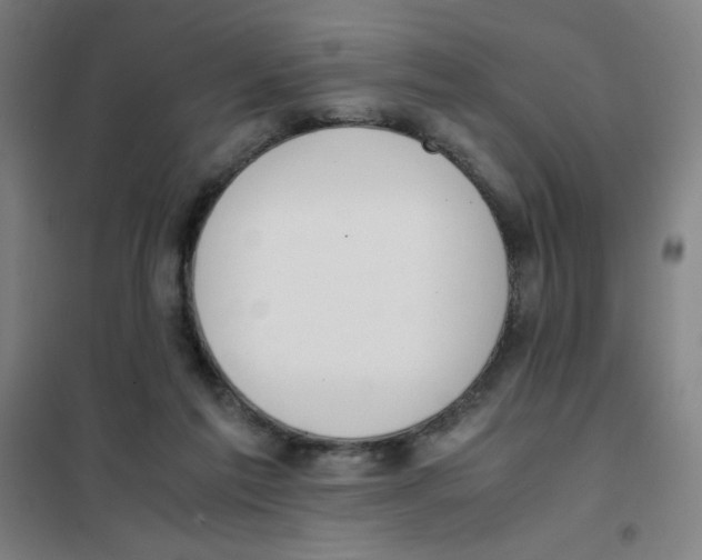 X0000101390213200808041025