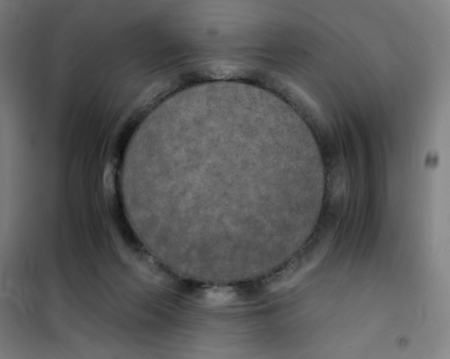 X0000101390214200808041025