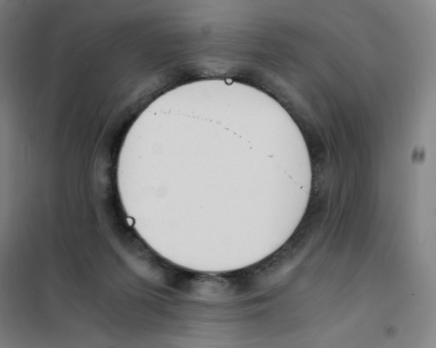 X0000101390215200808041025