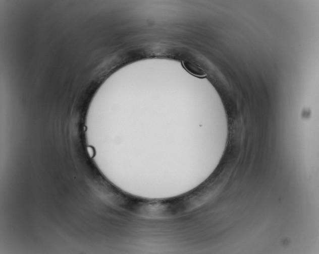 X0000101390217200808041025