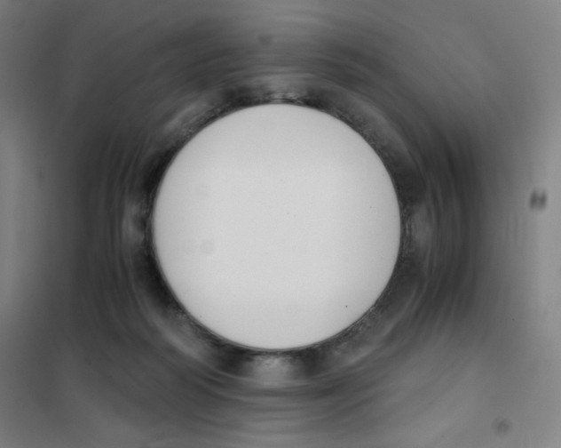 X0000101390218200808041025