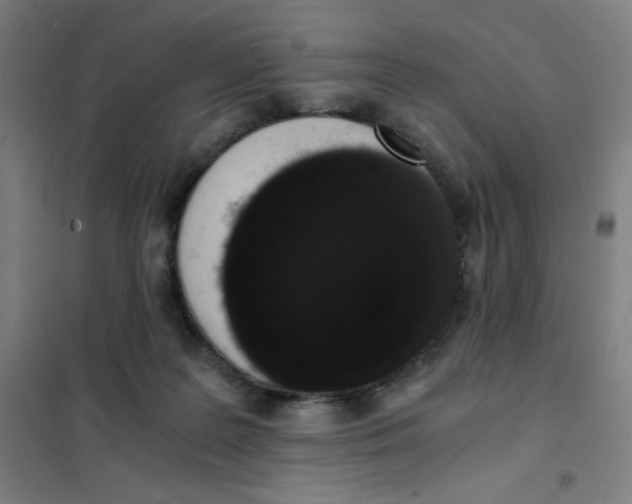 X0000101390219200808041025