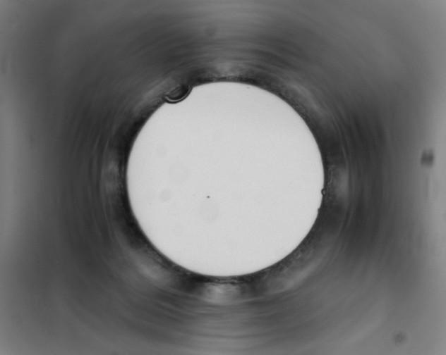 X0000101390220200808041025