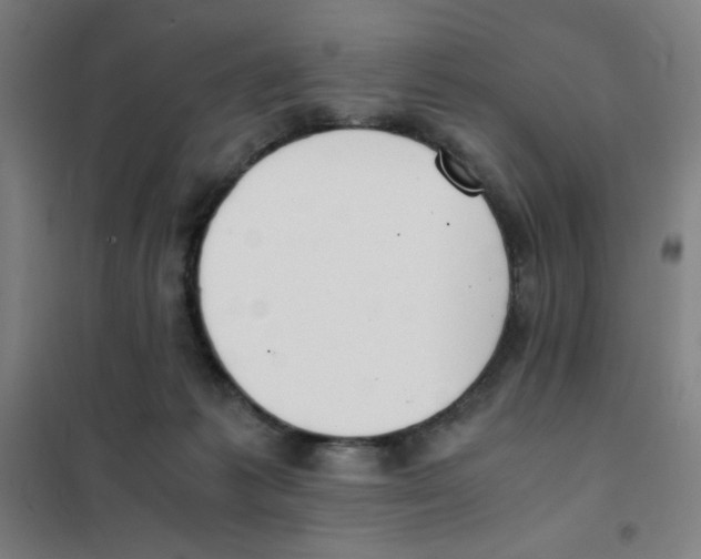 X0000101390221200808041025
