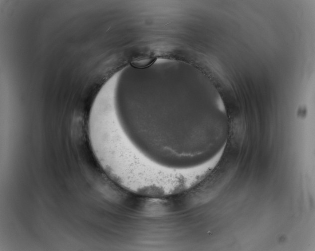 X0000101390222200808041025