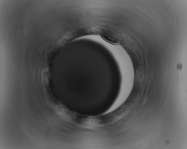 X0000101390223200808041025