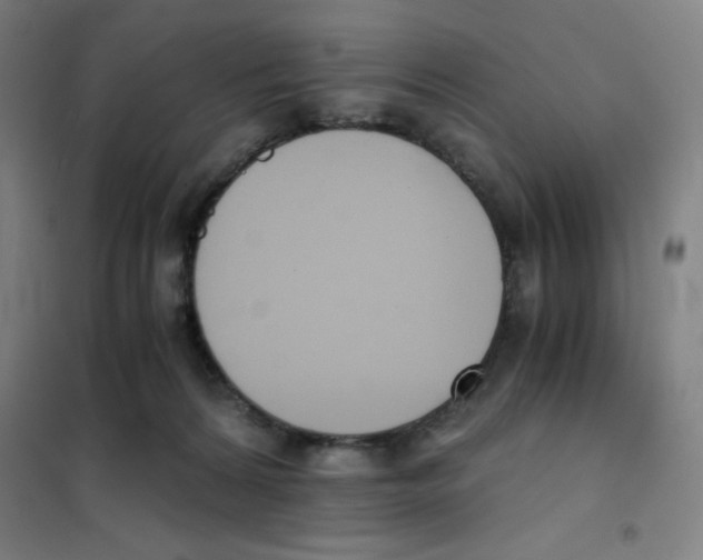 X0000101390224200808041025