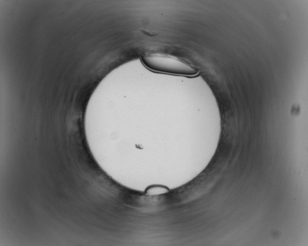 X0000101390225200808041025