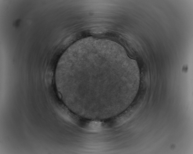 X0000101390227200808041025