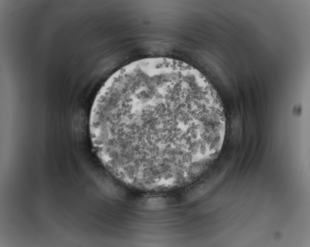 X0000101390228200808041025