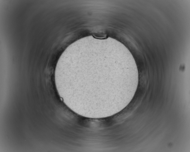 X0000101390229200808041025