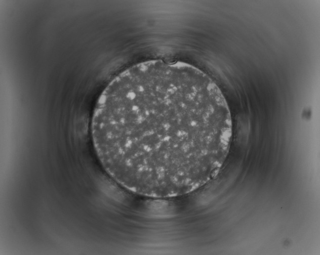 X0000101390230200808041025