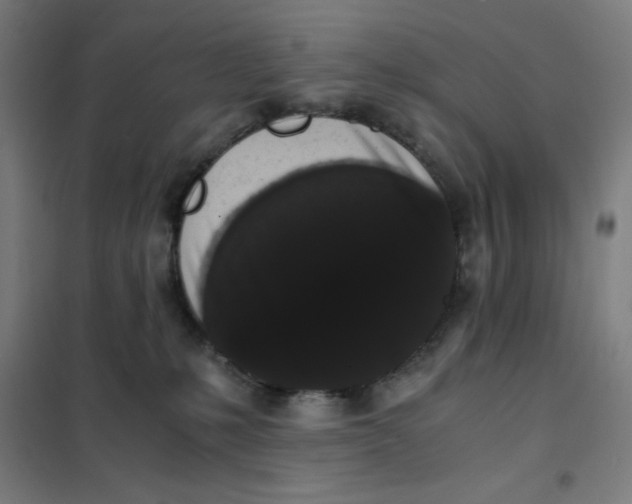 X0000101390231200808041025