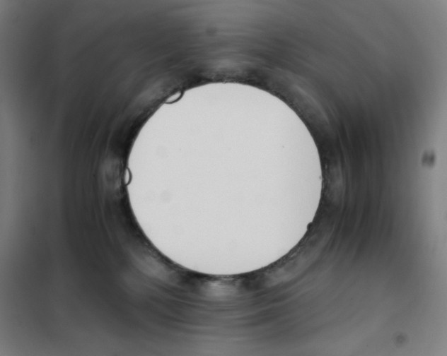 X0000101390232200808041024