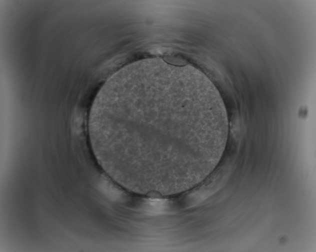 X0000101390233200808041024