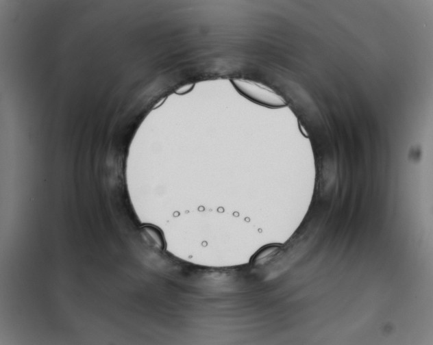 X0000101390236200808041024