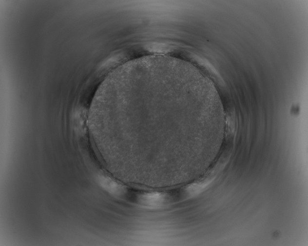 X0000101390237200808041024