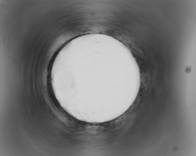 X0000101390242200808041024