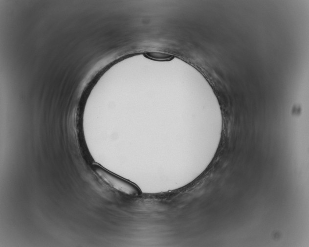 X0000101390244200808041024