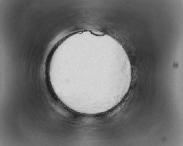 X0000101390246200808041024