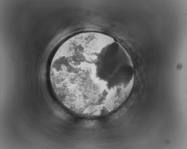 X0000101390247200808041024