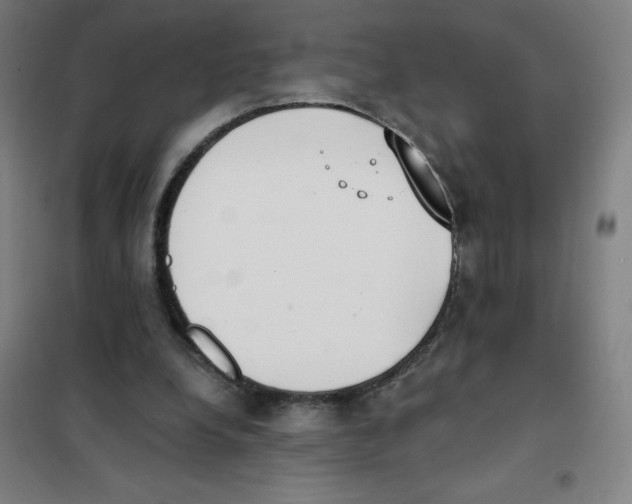 X0000101390248200808041024