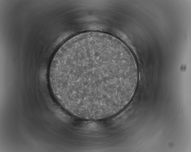 X0000101390249200808041024