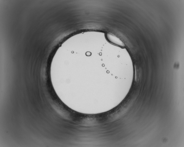 X0000101390252200808041024