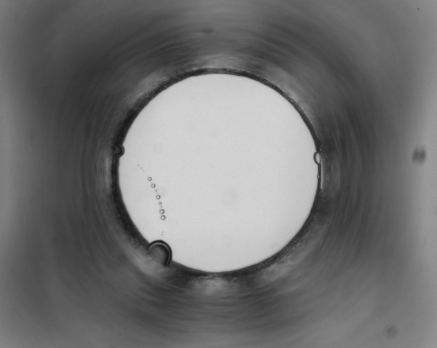X0000101390253200808041024