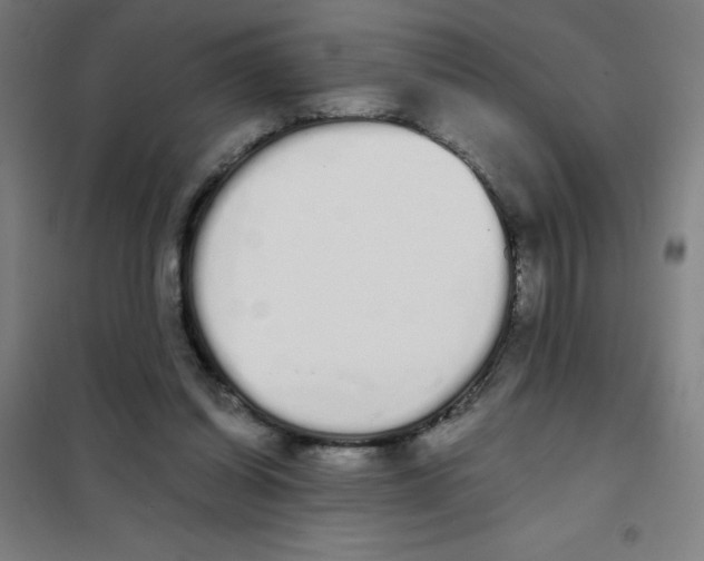 X0000101390254200808041024