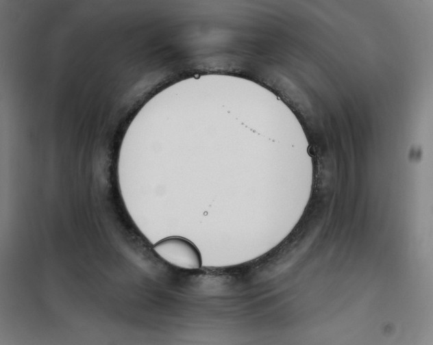 X0000101390255200808041024