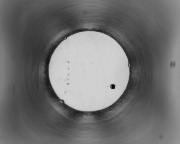 X0000101390256200808041024