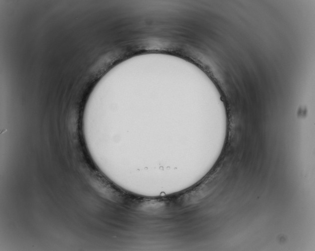 X0000101390257200808041024