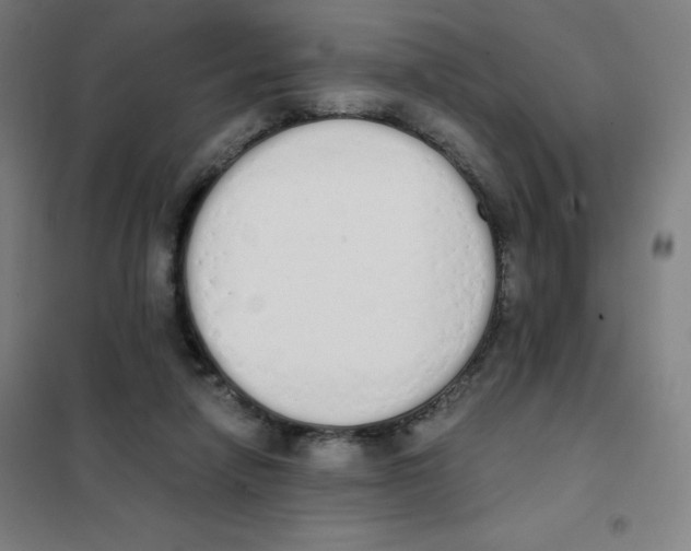 X0000101390258200808041024