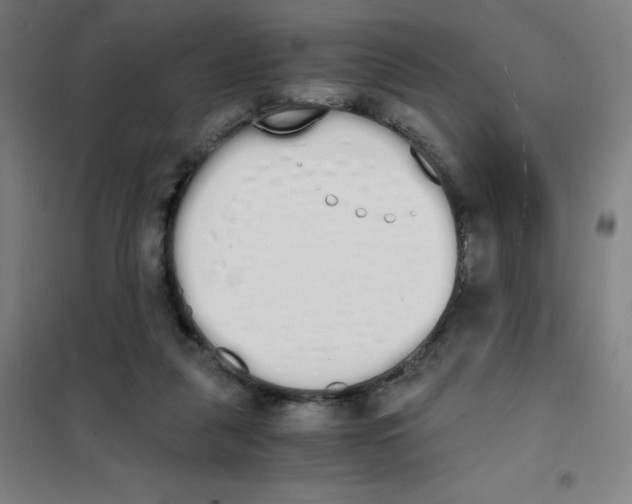 X0000101390259200808041024