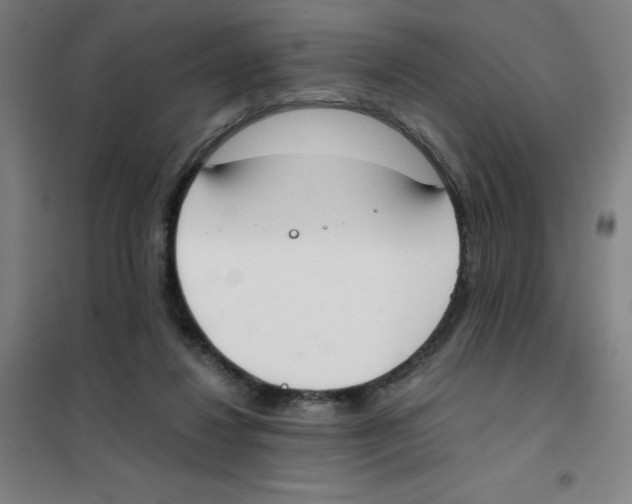 X0000101390260200808041024