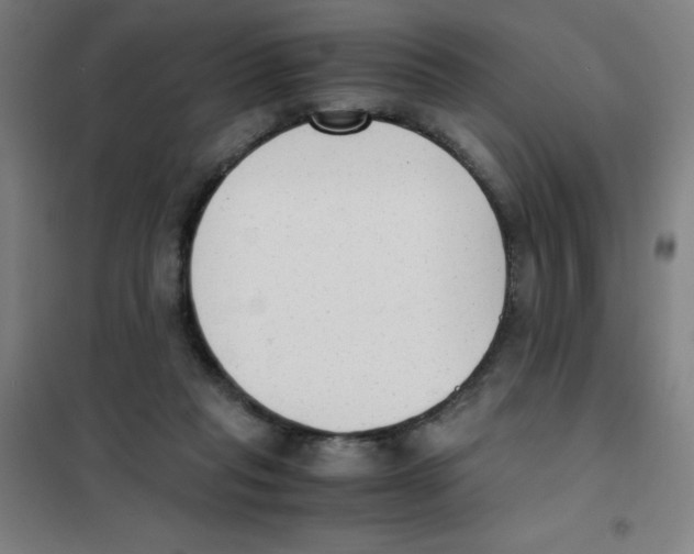 X0000101390261200808041024